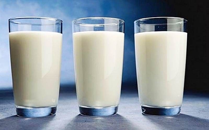 Compilation leche boca