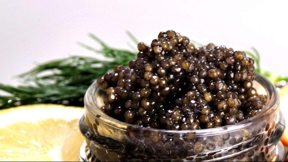 Bukan Cuma Mewah 5 Manfaat Dari Caviar Yang Baik Untuk Kesehatan