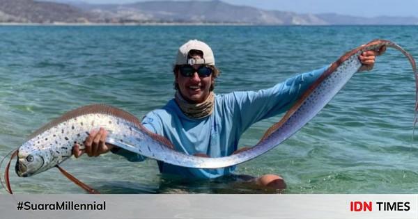 5 Fakta Unik Oarfish Ikan Ini Diduga Jadi Tanda Bencana Saat Terlihat