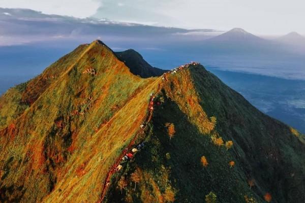 Fakta Gunung Andong Di Magelang Ada Samudera Awan