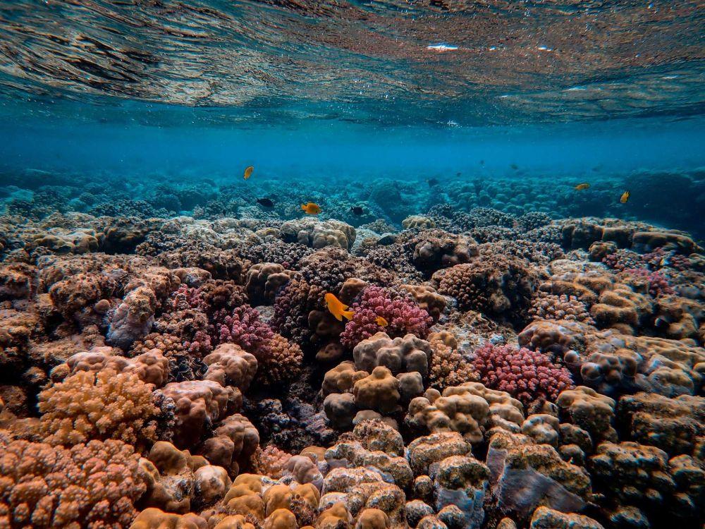 Ini 10 Fakta Underwater Waterfall Mauritius