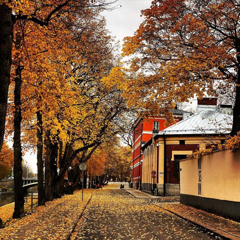 Tempat Terbaik Untuk Menikmati Musim Gugur Di Finlandia