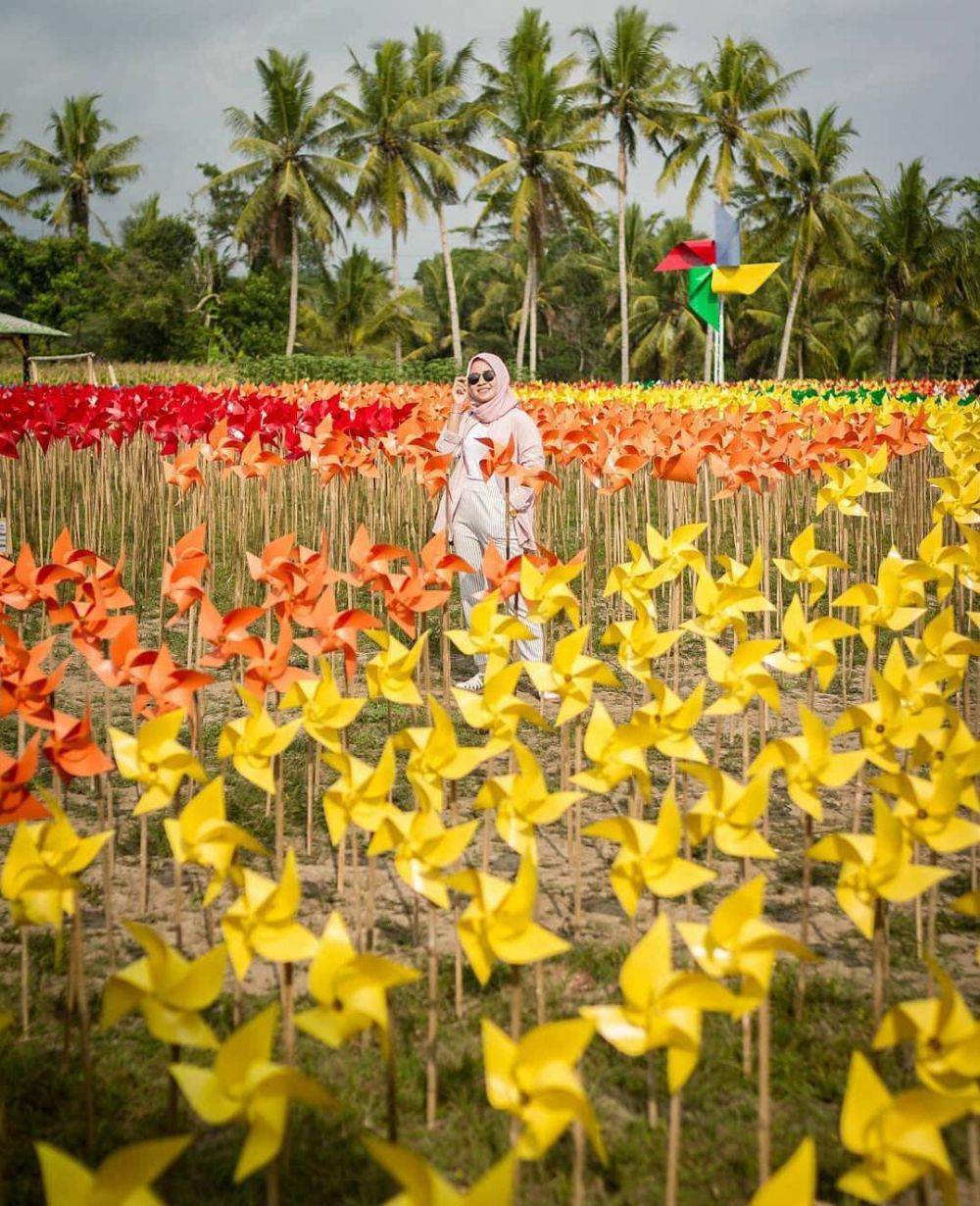 5 Wisata Taman Bunga Di Indonesia Semua Sudutnya Estetik