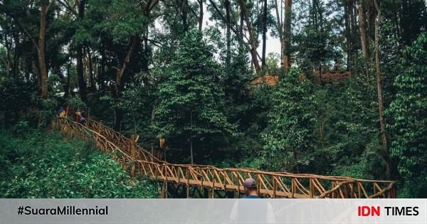 Seribu Batu Songgo Langit Sensasi Piknik Ke Negeri Dongeng