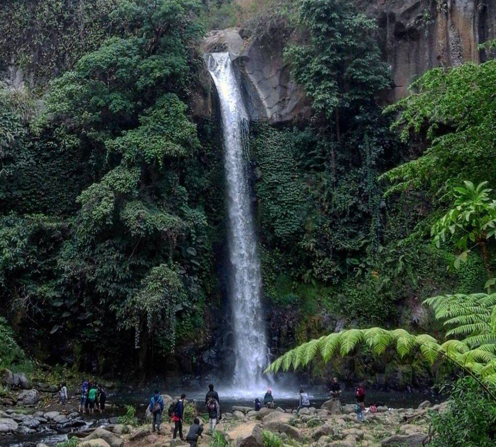 Informasi Wisata Coban Jahe Malang Lokasi Harga Dan Tips