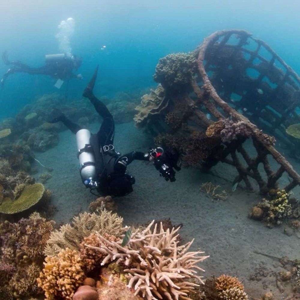 5 Lokasi Diving Terbaik Di Bali Biota Laut Bikin Gak Fokus