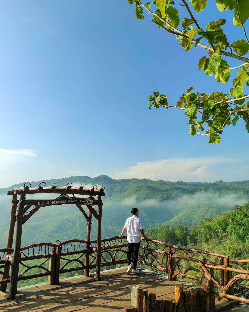 10 Pesona Bukit Panguk Suguhan Alam Menawan Dari Bantul