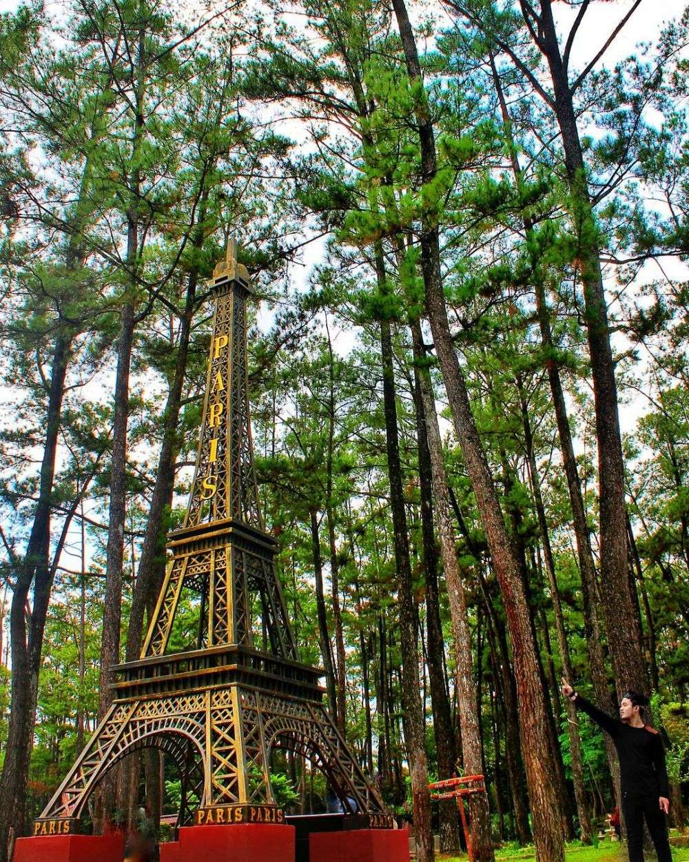 10 Potret Punti Kayu Hutan Pinus Di Tengah Kota Palembang