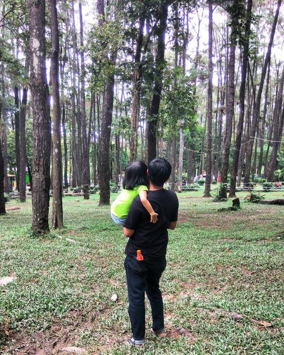 10 Potret Punti Kayu Hutan Pinus Di Tengah Kota Palembang