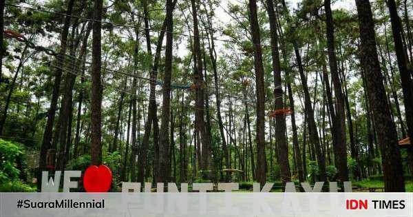 Potret Punti Kayu Hutan Pinus Di Tengah Kota Palembang