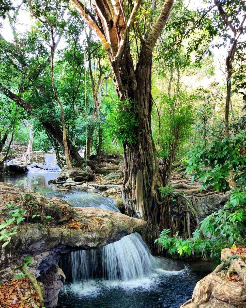 Potret Air Terjun Diwu Mba I Di NTB