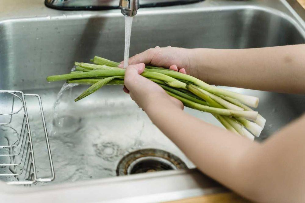 Cara Menanam Daun Bawang Yang Mudah Ikuti Langkahnya