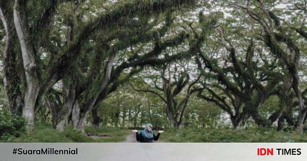 De Djawatan Forest Banyuwangi