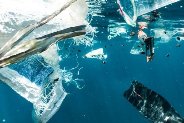 Menelisik Potensi Bahaya Mikroplastik Bagi Kesehatan