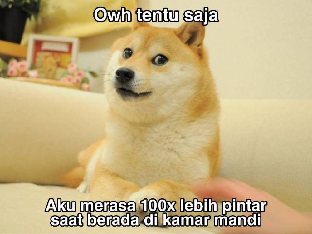 10 Meme Ini Ungkap Momen Kocak Yang Terjadi Di Kamar Mandi