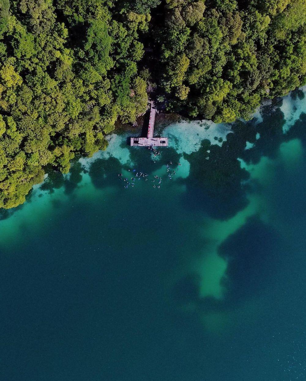 10 Potret Danau Kakaban Wisata Eksotis Di Pulau Derawan