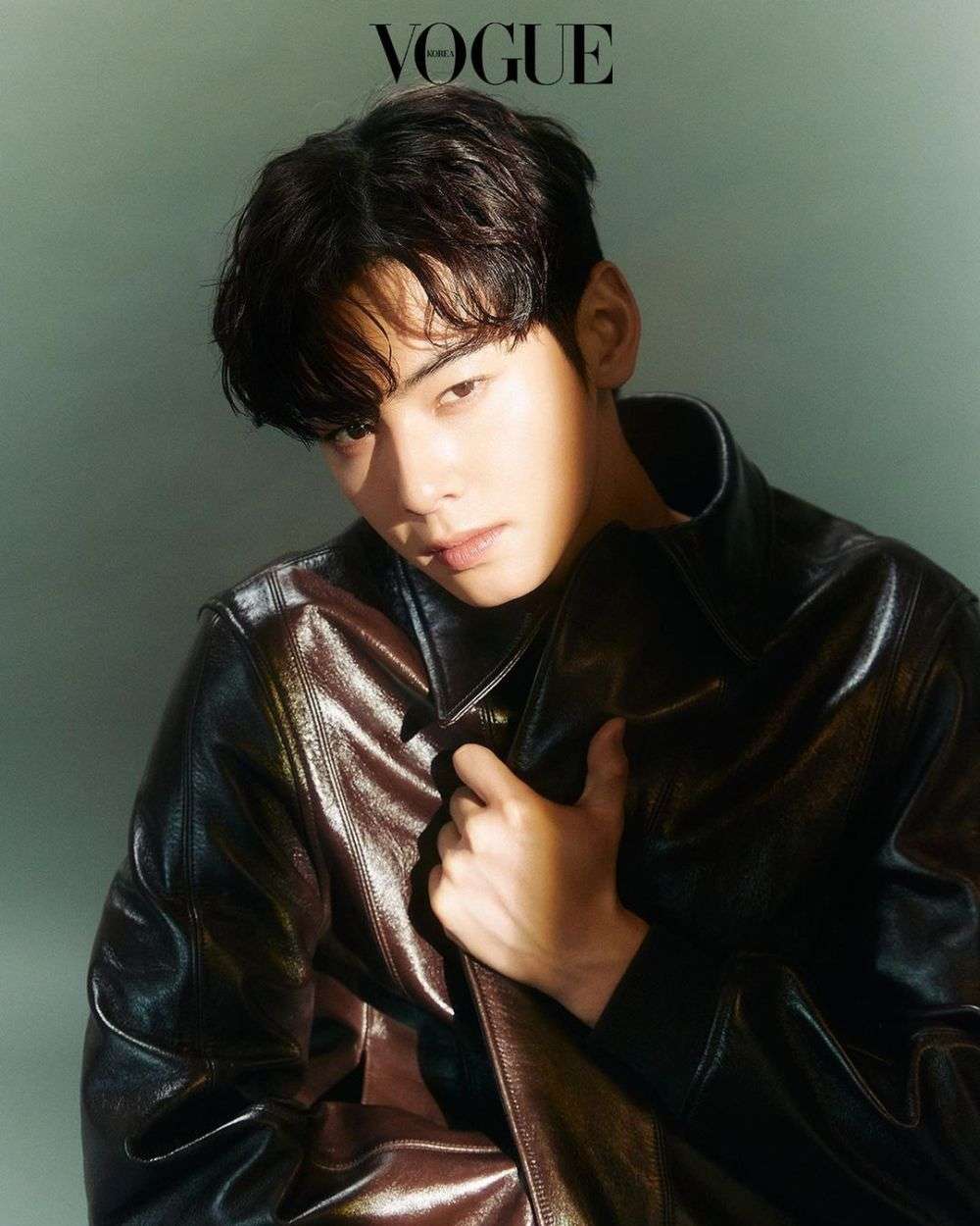 Perjalanan Karir Cha Eun Woo Baru Aja Ulang Tahun Ke