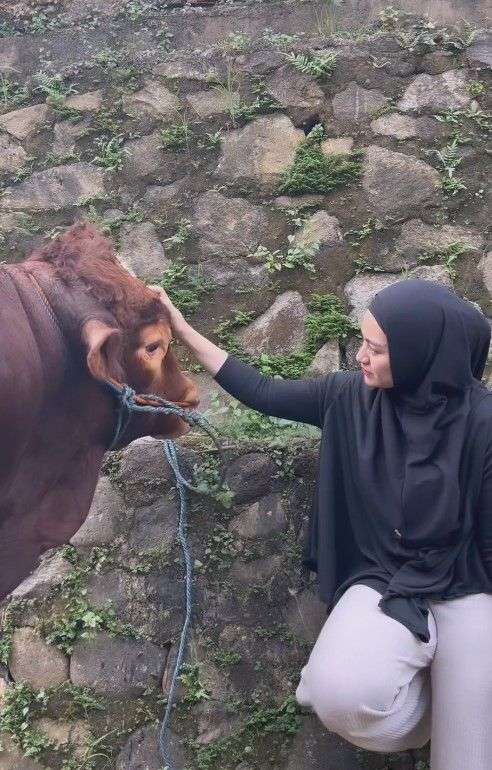 Potret Nathalie Holscher Berburu Sapi Kurban Setelah Mualaf