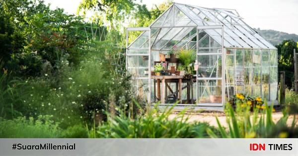 4 Langkah Ciptakan Greenhouse Mini Berkebun Di Lahan Sempit