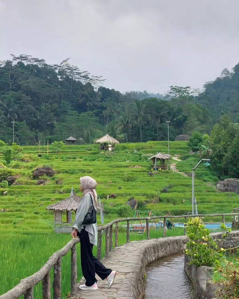 Wisata Pagubugan Melung Sensasi Berenang Di Tengah Sawah