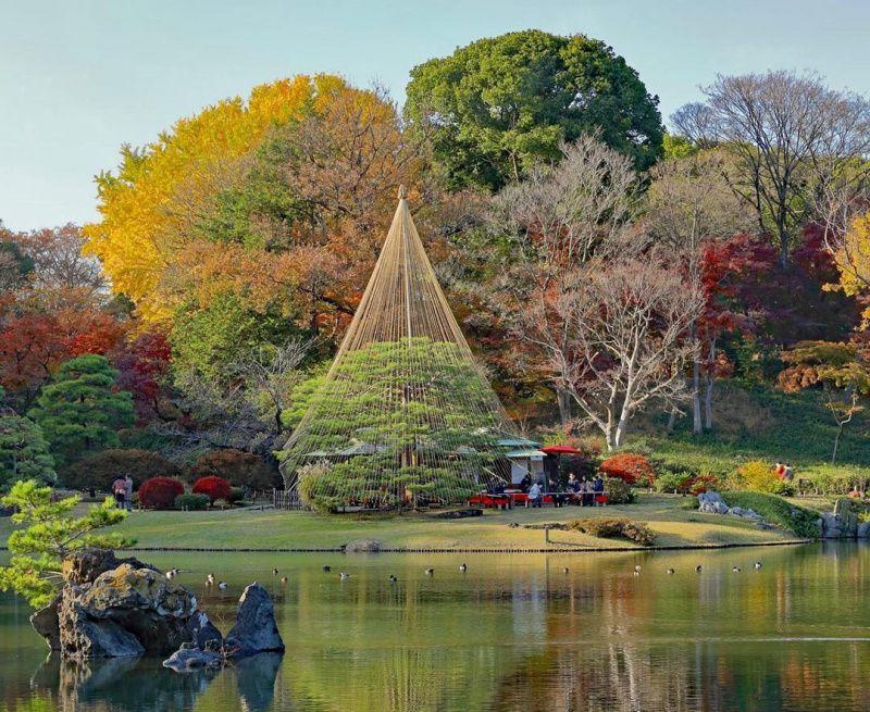 Tempat Terbaik Untuk Menikmati Musim Gugur Di Jepang