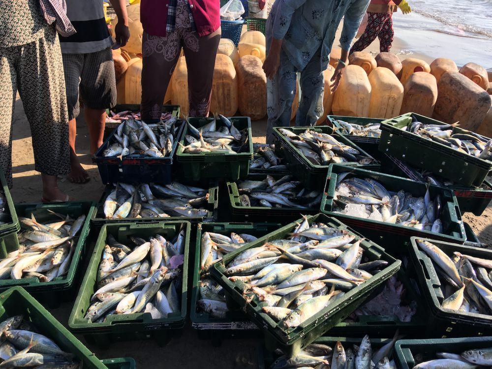 Menu Iwak Pakasam Ikan Fermentasi Dari Kalimantan Selatan