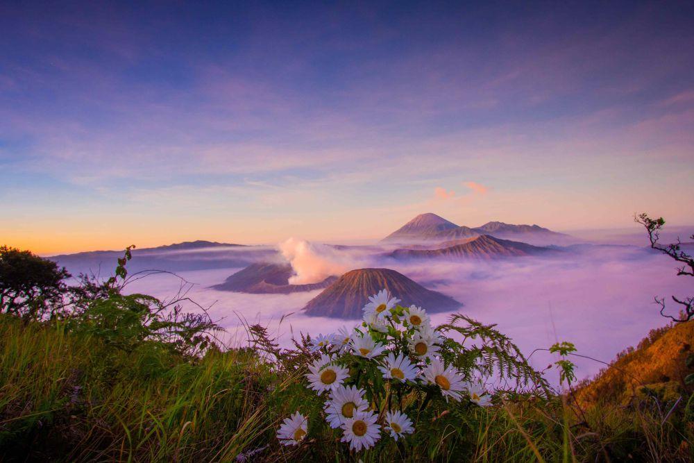 Fakta Menarik Gunung Bromo