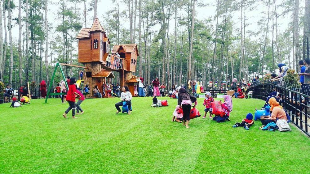 Daya Tarik Kemit Forest Education Wisata Edukasi