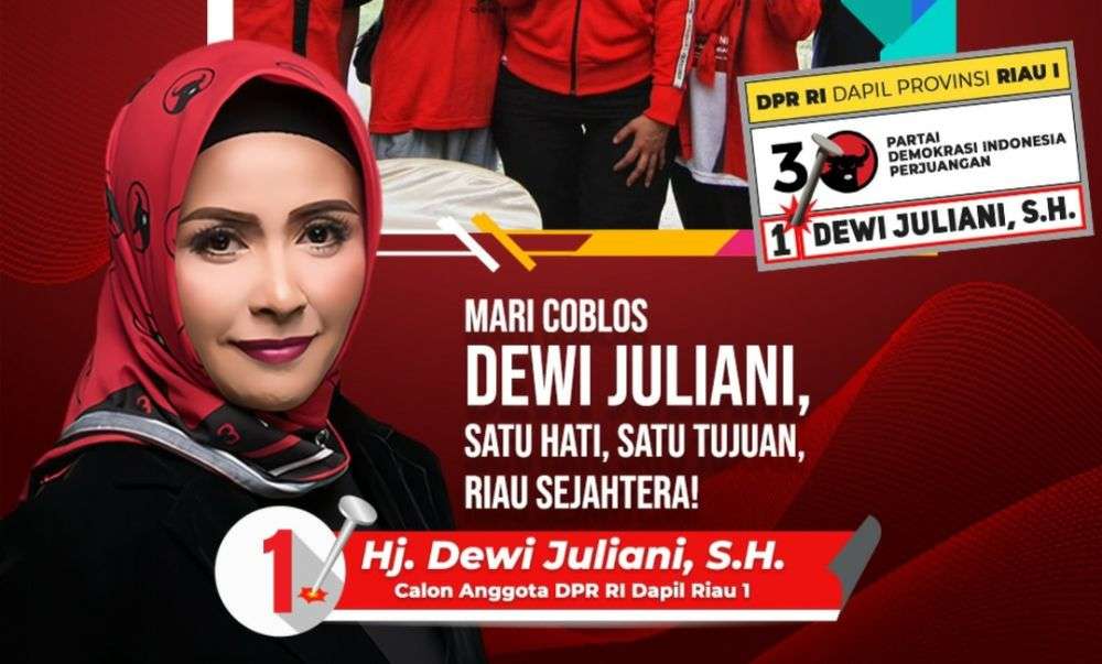 Ini Caleg DPR RI Dapil Riau I Dengan Suara Terbanyak