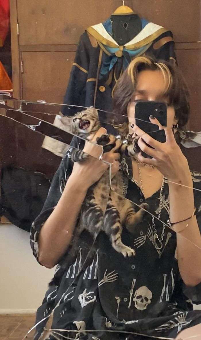 Ekspresi Kocak Kucing Saat Diajak Selfie