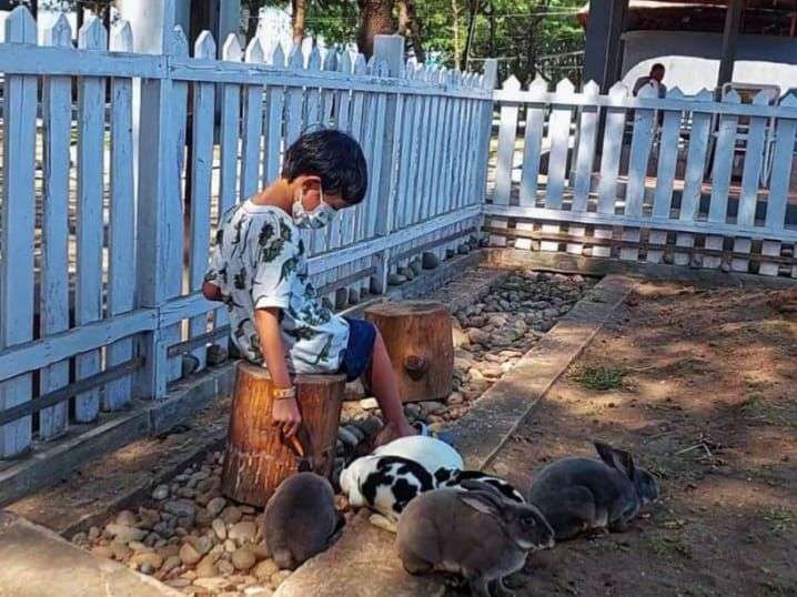 Aktivitas Seru Liburan Keluarga Di Safari Beach Jateng