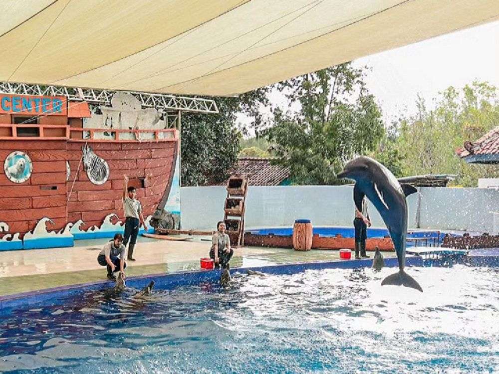 Aktivitas Seru Liburan Keluarga Di Safari Beach Jateng