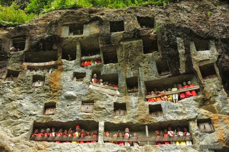 Merinding Ini Fakta Kuburan Bayi Di Tana Toraja Yang Jadi Wisata