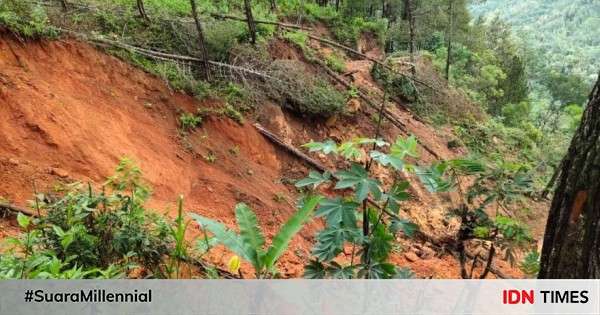 Alih Fungsi Lahan Disebut Jadi Penyebab Tanah Longsor Di Palopo