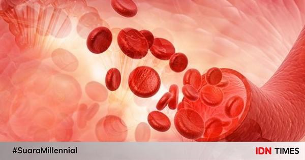 Anemia Hemolitik Penyebab Gejala Pengobatan Komplikasi