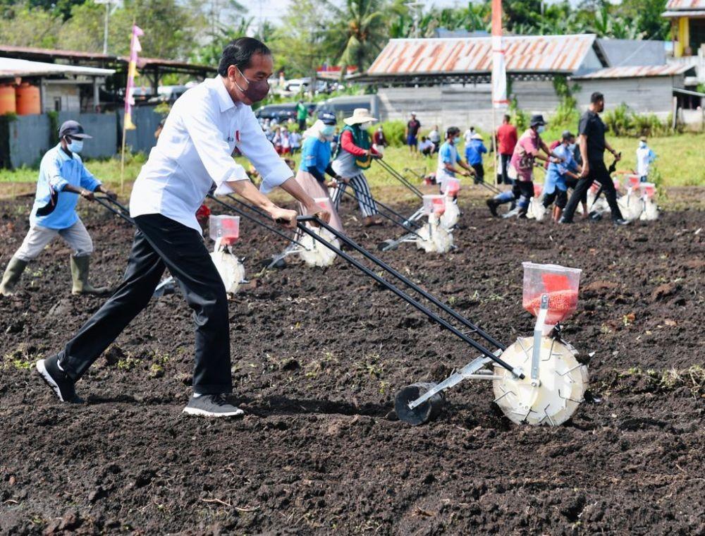 Presiden Ajak Petani Millennial Jadi Penggerak Pertanian