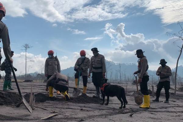 Erupsi Gunung Semeru Total Korban Meninggal Orang