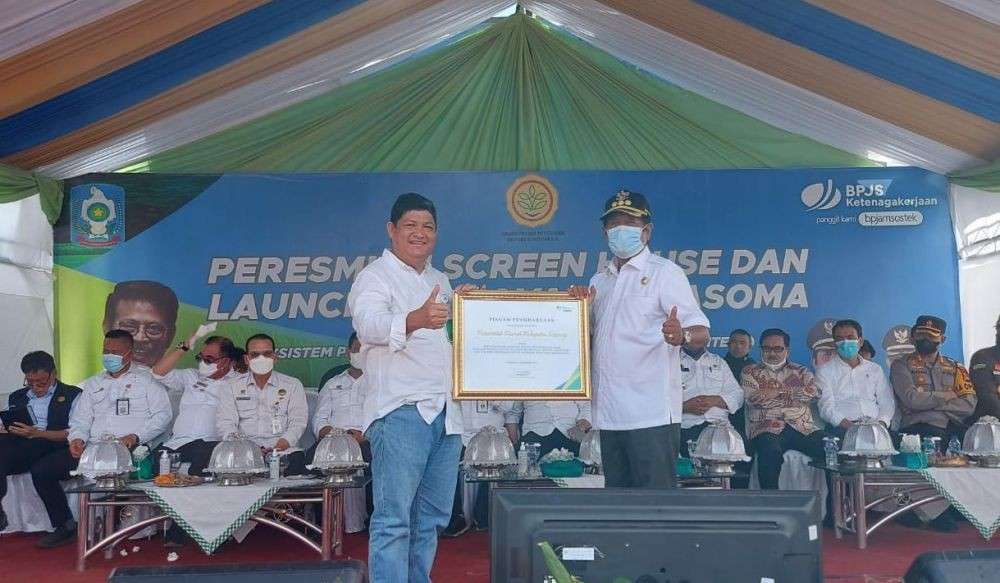 BPJAMSOSTEK Dan Pemkab Soppeng Berikan Jaminan Sosial Petani