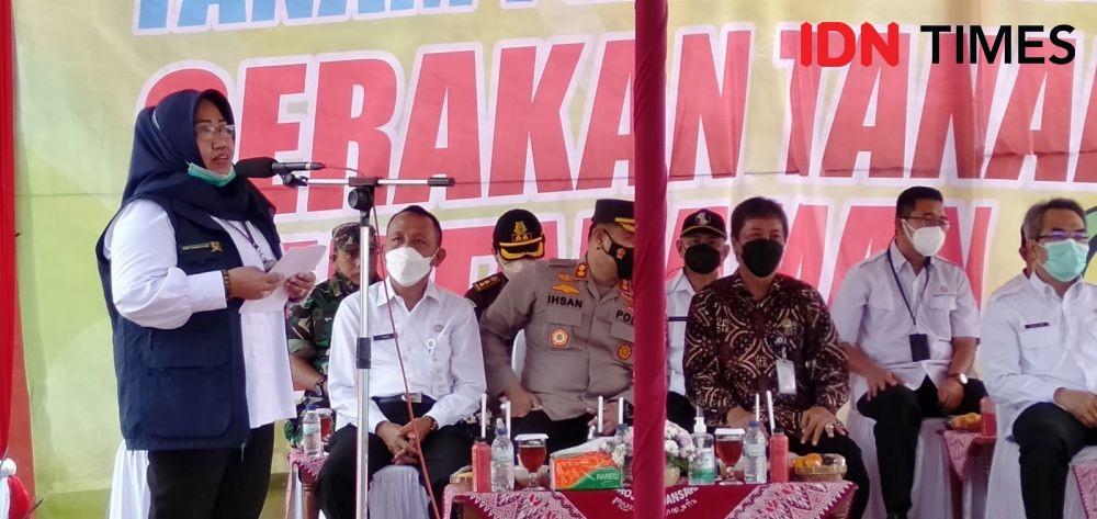 Kementan Tanam Perdana Bibit Padi Program IP400 Di Bantul