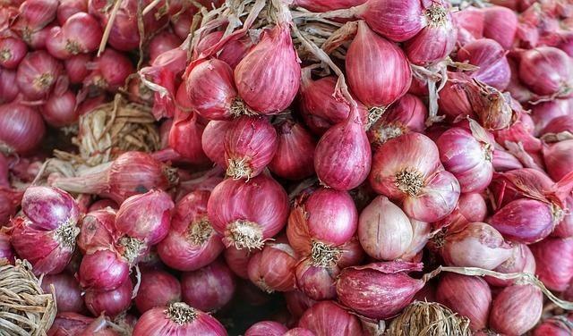 Tips Memilih Bawang Merah Yang Bagus Dan Berkualitas