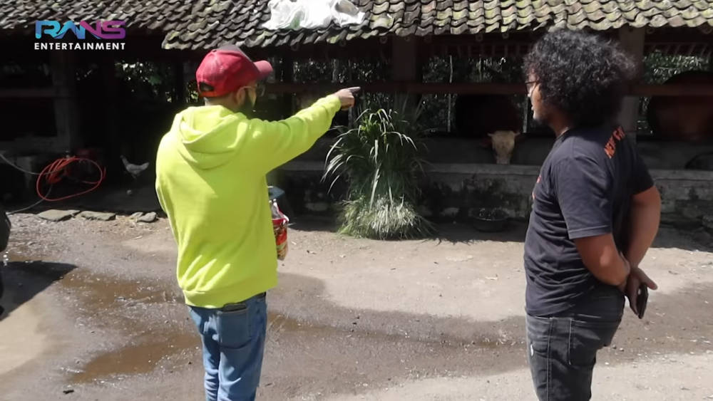 Potret Sapi Kurban Raffi Ahmad Dari Gunung Merapi Ton