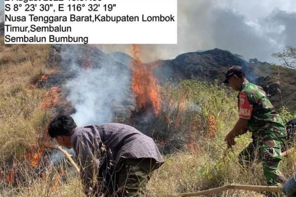 Kawasan Taman Nasional Gunung Rinjani Terbakar 10 34 Hektare