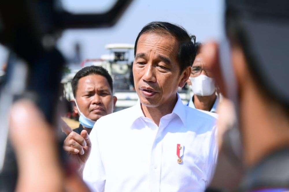 Jokowi Resmikan Lumbung Pangan Mangga Target Ekspor Eropa