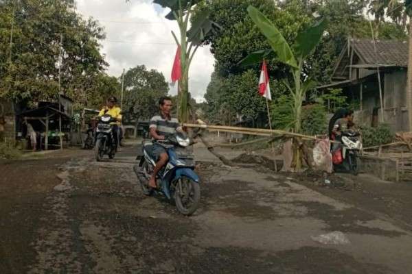 Rusak Jalan Provinsi Di Lombok Timur Ditanami Pohon Pisang