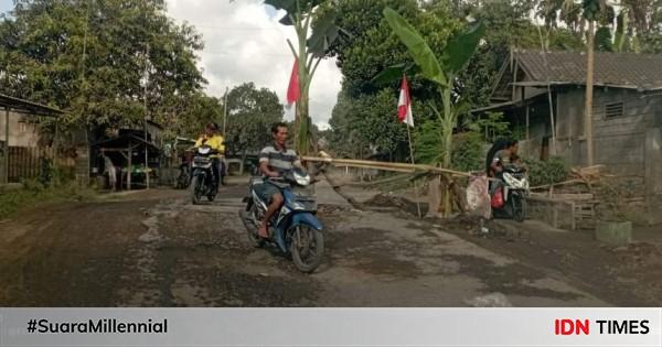 Rusak Jalan Provinsi Di Lombok Timur Ditanami Pohon Pisang