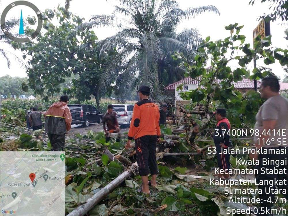 Hujan Pepohonan Dan Tiang Listrik Di Langkat Tumbang