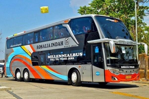 Data Jumlah Bus Di Indonesia Mulai AKAP Hingga Pariwisata