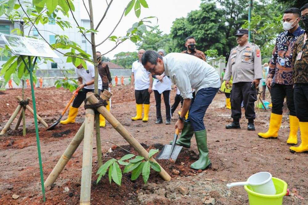 Jokowi Perintahkan Gubernur Tanam Pohon Di Jabodetabek