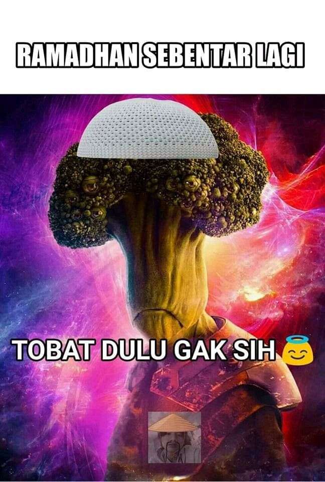 Meme Kocak Brokoli Gak Santai Lawan Dari Meme Santai Dul