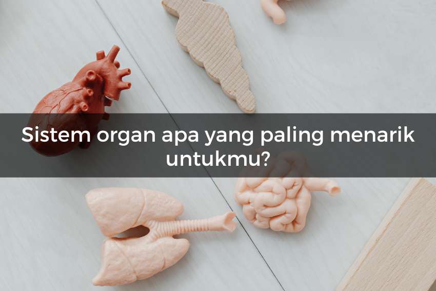 QUIZ Kami Tahu Kamu Cocok Jadi Dokter Spesialis Atau Gak